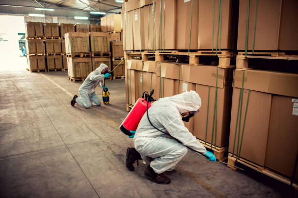 Best Termite Control Services  in De Witt, NY