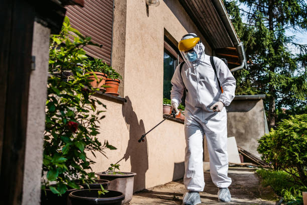 Best Pest Removal Services  in De Witt, NY