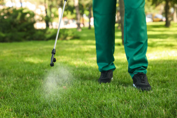 Best Bed Bug Extermination  in De Witt, NY
